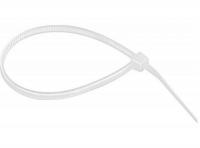 FS 280 B-C_7000035293